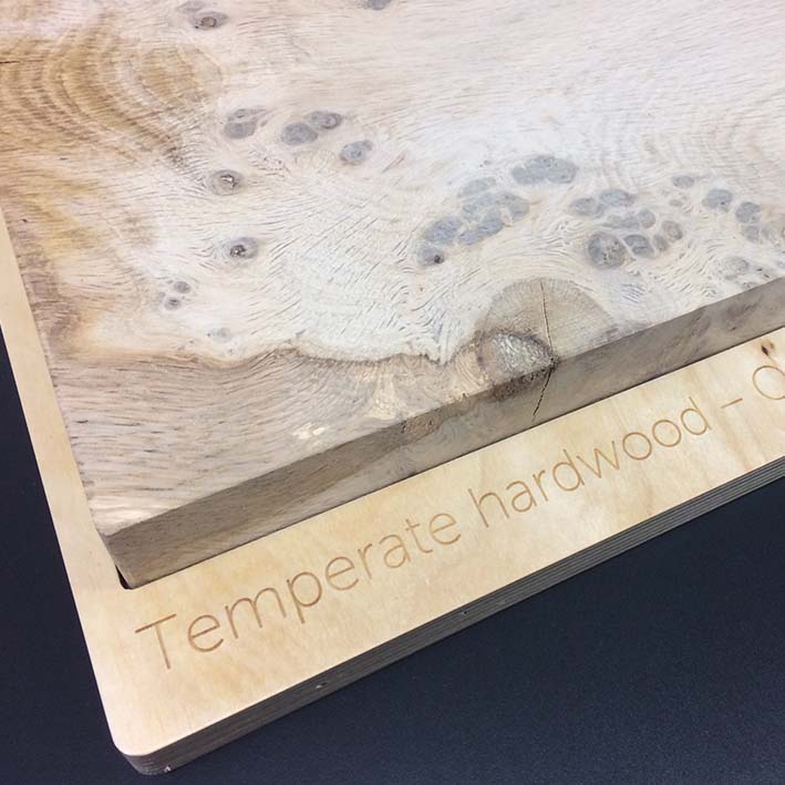 temperate hardwood tactile interactive